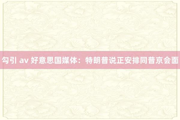 勾引 av 好意思国媒体：特朗普说正安排同普京会面