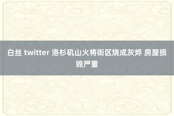 白丝 twitter 洛杉矶山火将街区烧成灰烬 房屋损毁严重