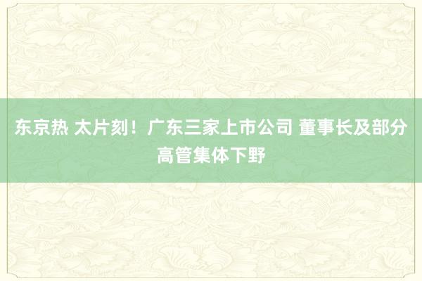 东京热 太片刻！广东三家上市公司 董事长及部分高管集体下野