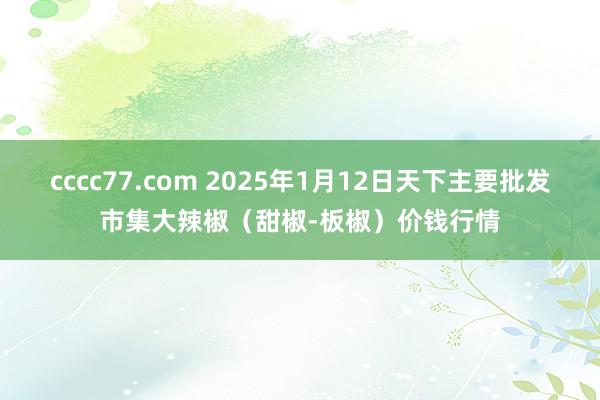 cccc77.com 2025年1月12日天下主要批发市集大辣椒（甜椒-板椒）价钱行情