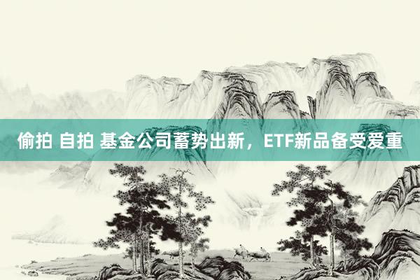 偷拍 自拍 基金公司蓄势出新，ETF新品备受爱重