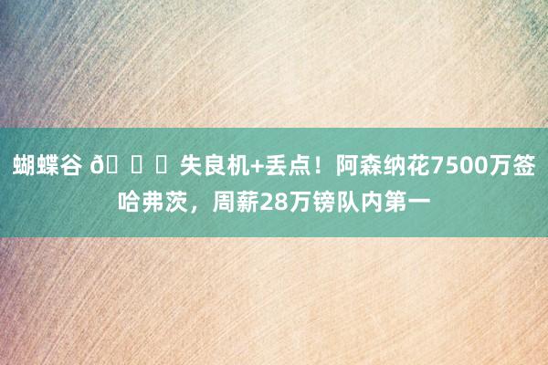 蝴蝶谷 🙁失良机+丢点！阿森纳花7500万签哈弗茨，周薪28万镑队内第一