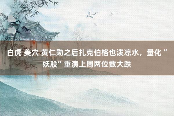 白虎 美穴 黄仁勋之后扎克伯格也泼凉水，量化“妖股”重演上周两位数大跌