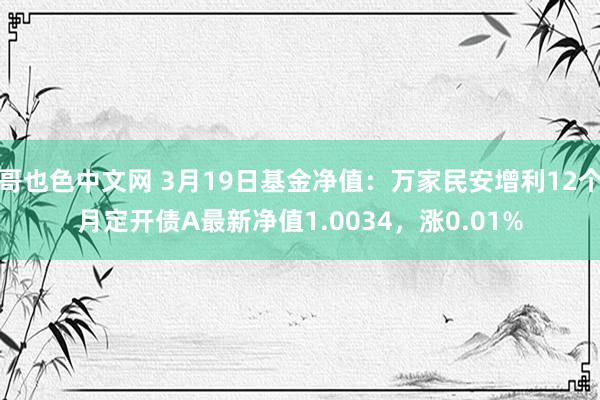 哥也色中文网 3月19日基金净值：万家民安增利12个月定开债A最新净值1.0034，涨0.01%