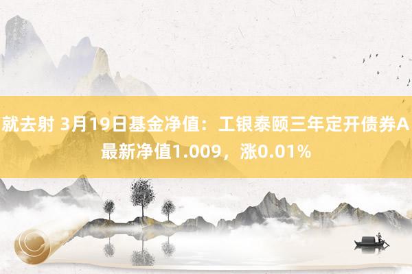 就去射 3月19日基金净值：工银泰颐三年定开债券A最新净值1.009，涨0.01%