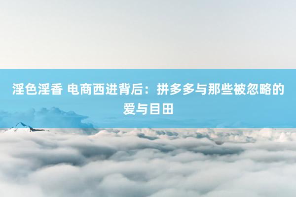 淫色淫香 电商西进背后：拼多多与那些被忽略的爱与目田