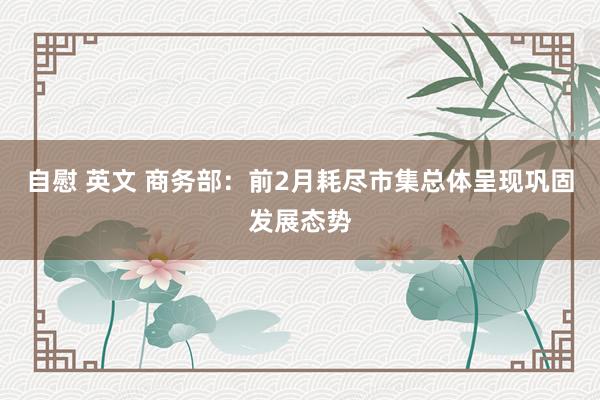 自慰 英文 商务部：前2月耗尽市集总体呈现巩固发展态势