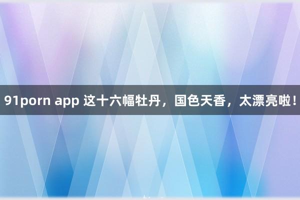 91porn app 这十六幅牡丹，国色天香，太漂亮啦！