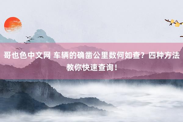 哥也色中文网 车辆的确凿公里数何如查？四种方法教你快速查询！
