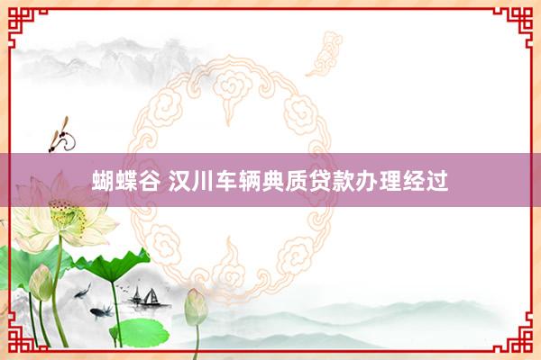 蝴蝶谷 汉川车辆典质贷款办理经过