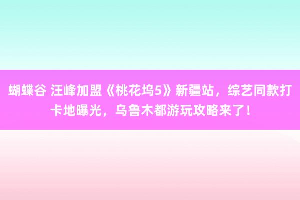 蝴蝶谷 汪峰加盟《桃花坞5》新疆站，综艺同款打卡地曝光，乌鲁木都游玩攻略来了！