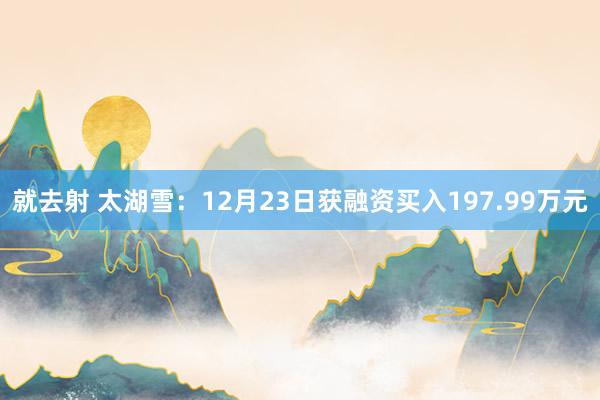 就去射 太湖雪：12月23日获融资买入197.99万元