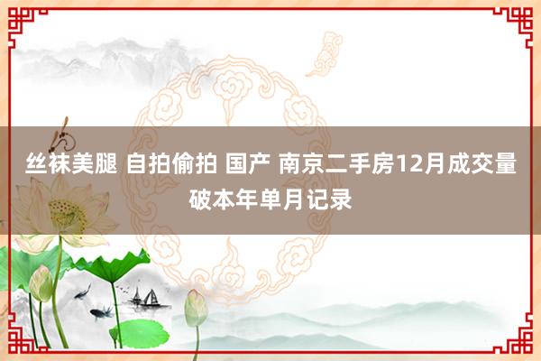 丝袜美腿 自拍偷拍 国产 南京二手房12月成交量破本年单月记录