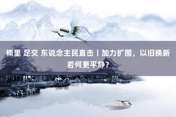 楠里 足交 东说念主民直击丨加力扩围，以旧换新若何更平静？
