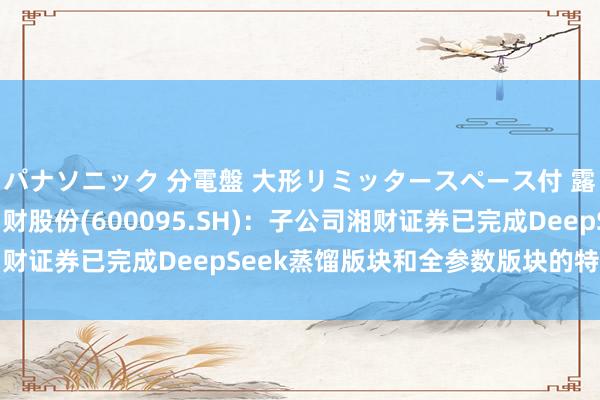パナソニック 分電盤 大形リミッタースペース付 露出・半埋込両用形 湘财股份(600095.SH)：子公司湘财证券已完成DeepSeek蒸馏版块和全参数版块的特有化部署