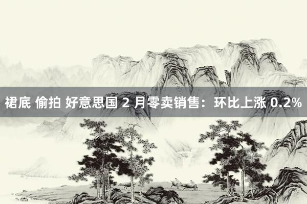 裙底 偷拍 好意思国 2 月零卖销售：环比上涨 0.2%