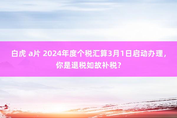 白虎 a片 2024年度个税汇算3月1日启动办理，你是退税如故补税？