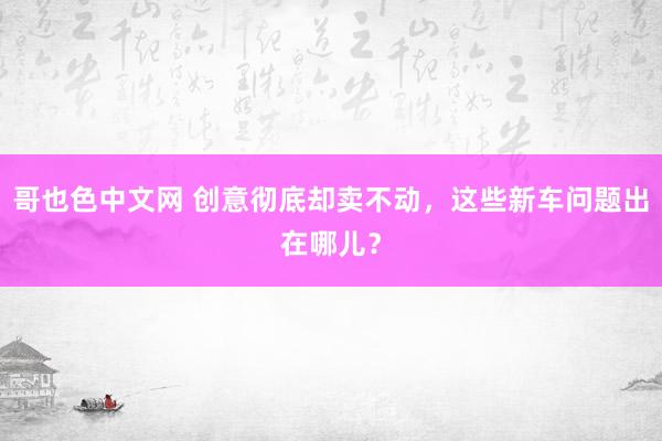 哥也色中文网 创意彻底却卖不动，这些新车问题出在哪儿？