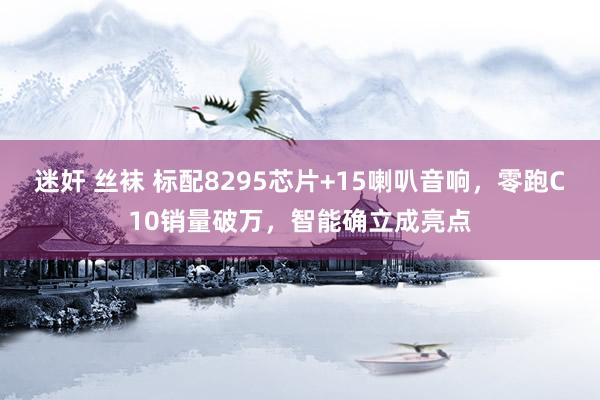 迷奸 丝袜 标配8295芯片+15喇叭音响，零跑C10销量破万，智能确立成亮点