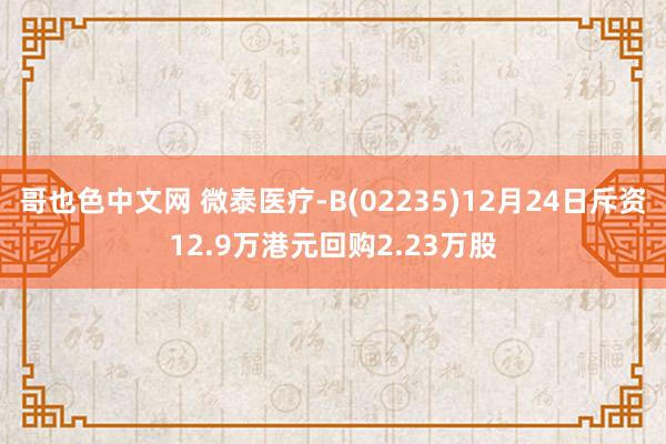 哥也色中文网 微泰医疗-B(02235)12月24日斥资12.9万港元回购2.23万股