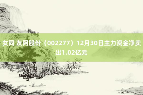 女同 友阿股份（002277）12月30日主力资金净卖出1.02亿元