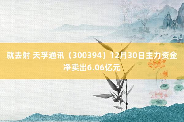 就去射 天孚通讯（300394）12月30日主力资金净卖出6.06亿元