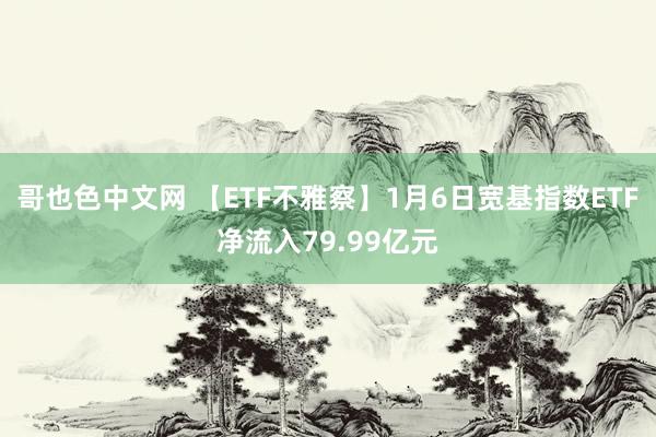 哥也色中文网 【ETF不雅察】1月6日宽基指数ETF净流入79.99亿元