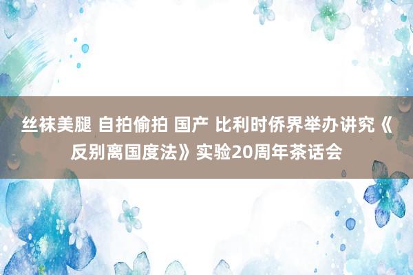 丝袜美腿 自拍偷拍 国产 比利时侨界举办讲究《反别离国度法》实验20周年茶话会