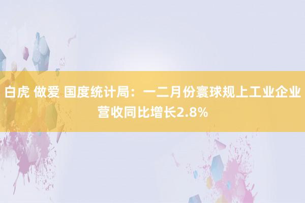 白虎 做爱 国度统计局：一二月份寰球规上工业企业营收同比增长2.8%