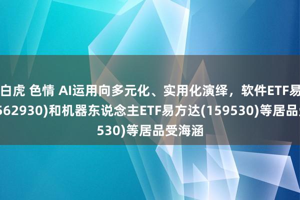 白虎 色情 AI运用向多元化、实用化演绎，软件ETF易方达(562930)和机器东说念主ETF易方达(159530)等居品受海涵