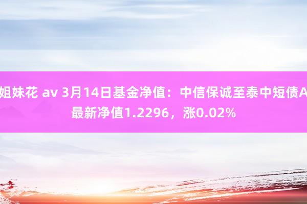 姐妹花 av 3月14日基金净值：中信保诚至泰中短债A最新净值1.2296，涨0.02%