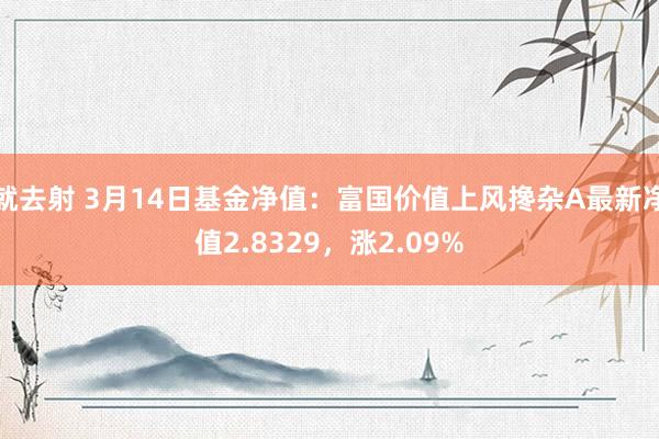 就去射 3月14日基金净值：富国价值上风搀杂A最新净值2.8329，涨2.09%