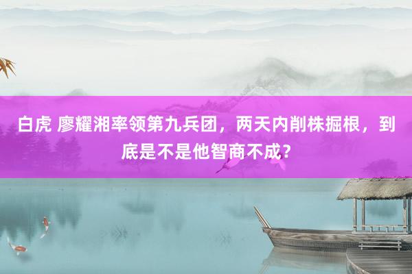 白虎 廖耀湘率领第九兵团，两天内削株掘根，到底是不是他智商不成？