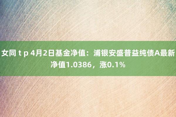 女同 t p 4月2日基金净值：浦银安盛普益纯债A最新净值1.0386，涨0.1%