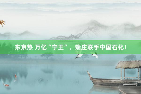 东京热 万亿“宁王”，端庄联手中国石化！