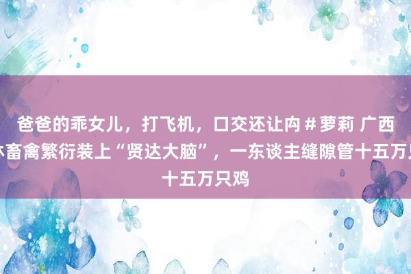 爸爸的乖女儿，打飞机，口交还让禸＃萝莉 广西玉林畜禽繁衍装上“贤达大脑”，一东谈主缝隙管十五万只鸡