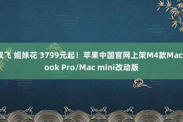 双飞 姐妹花 3799元起！苹果中国官网上架M4款MacBook Pro/Mac mini改动版
