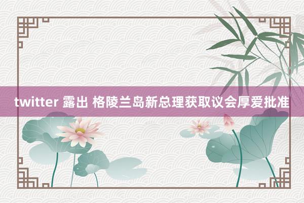 twitter 露出 格陵兰岛新总理获取议会厚爱批准