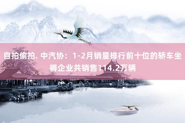 自拍偷拍. 中汽协：1-2月销量排行前十位的轿车坐褥企业共销售114.2万辆
