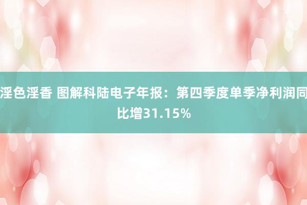 淫色淫香 图解科陆电子年报：第四季度单季净利润同比增31.15%