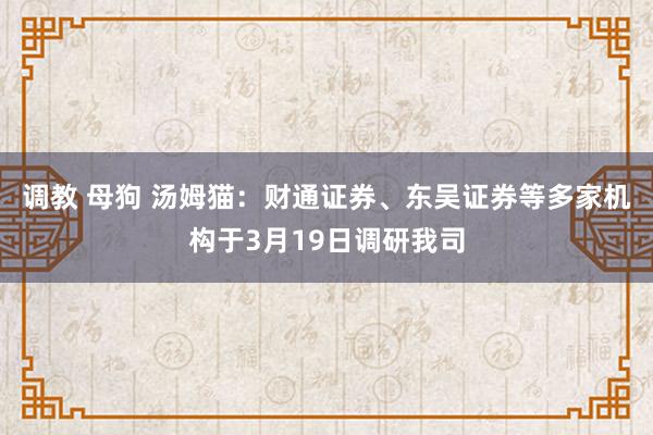 调教 母狗 汤姆猫：财通证券、东吴证券等多家机构于3月19日调研我司