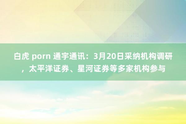 白虎 porn 通宇通讯：3月20日采纳机构调研，太平洋证券、星河证券等多家机构参与