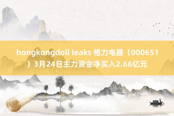 hongkongdoll leaks 格力电器（000651）3月24日主力资金净买入2.66亿元