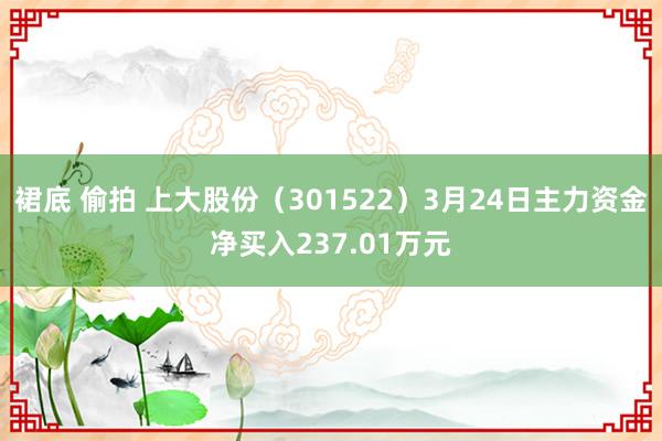 裙底 偷拍 上大股份（301522）3月24日主力资金净买入237.01万元