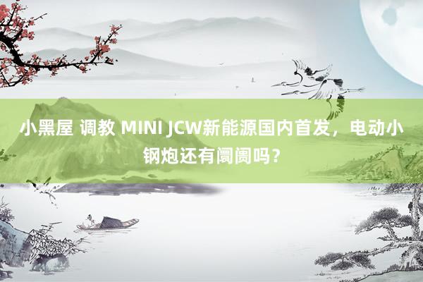 小黑屋 调教 MINI JCW新能源国内首发，电动小钢炮还有阛阓吗？