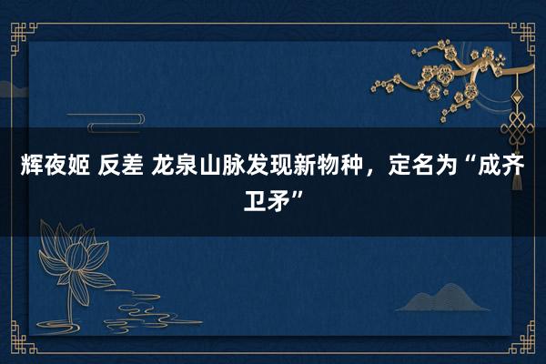 辉夜姬 反差 龙泉山脉发现新物种，定名为“成齐卫矛”
