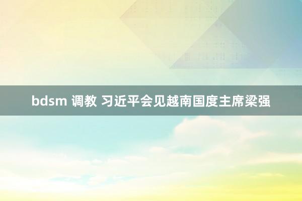 bdsm 调教 习近平会见越南国度主席梁强