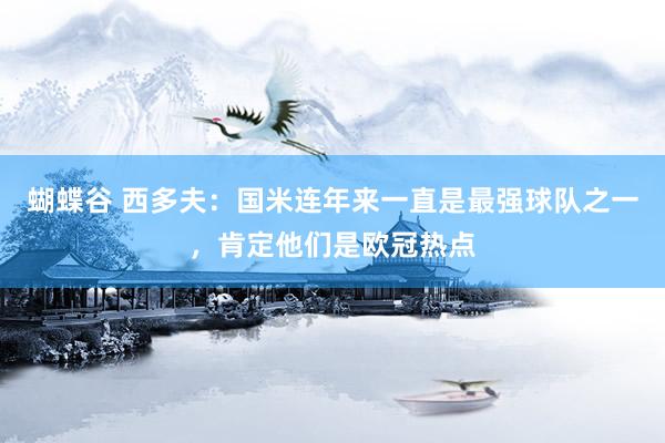 蝴蝶谷 西多夫：国米连年来一直是最强球队之一，肯定他们是欧冠热点