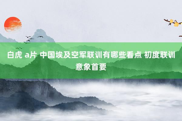 白虎 a片 中国埃及空军联训有哪些看点 初度联训意象首要