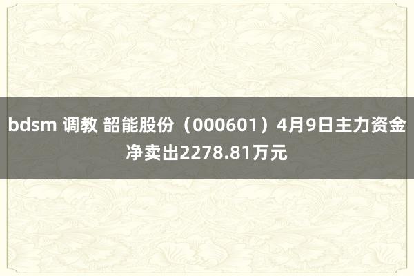 bdsm 调教 韶能股份（000601）4月9日主力资金净卖出2278.81万元